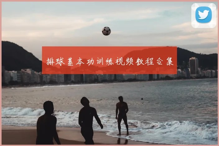 排球基本功训练视频教程合集